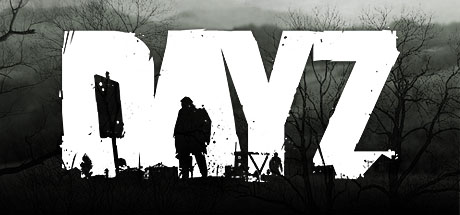 DayZ type