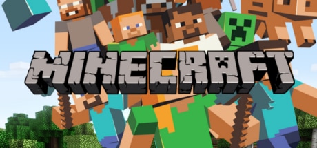 Minecraft type